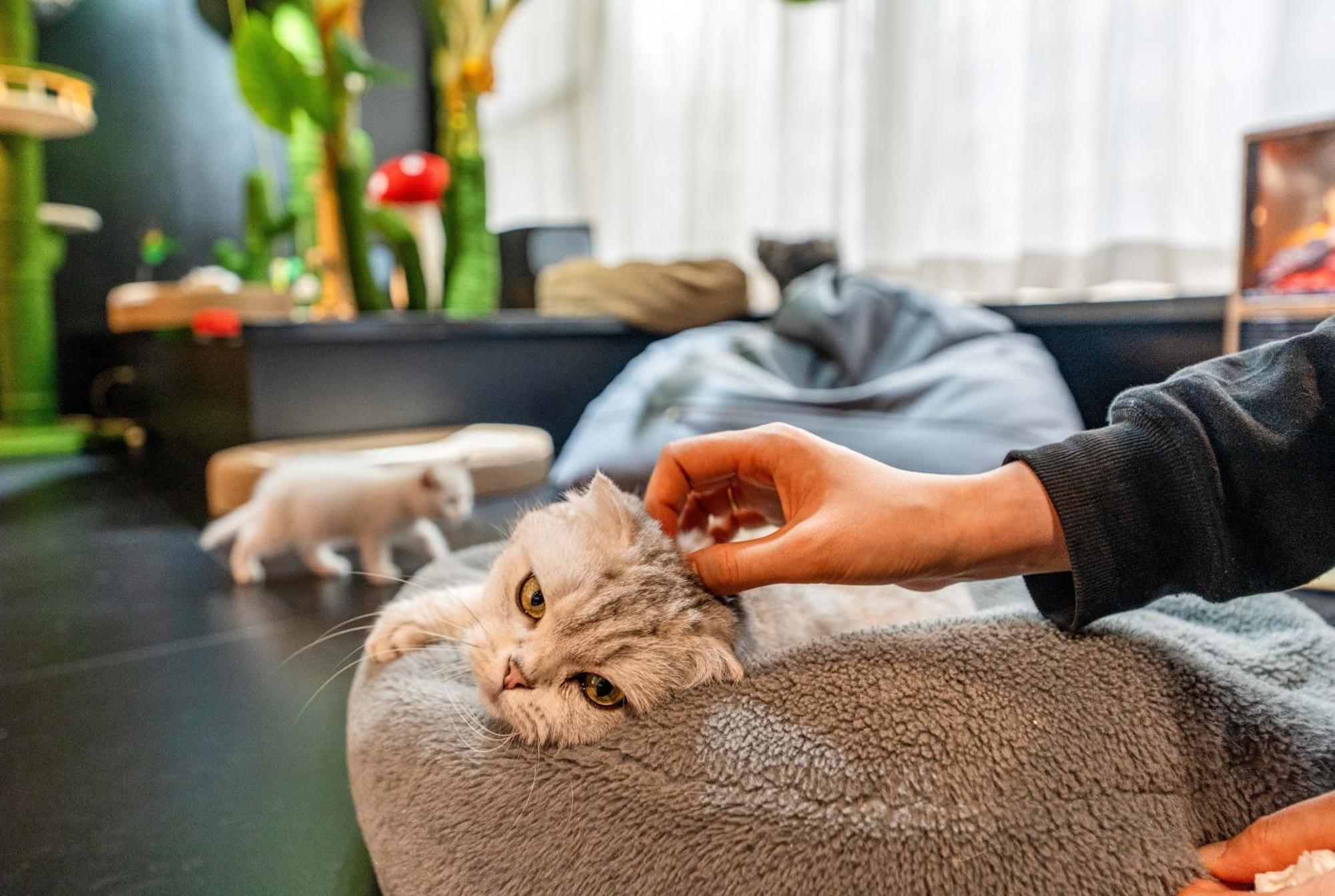 Hesu Designer Hotel & Suites -Near Xi'An Drum Tower And Yongning Gate -Free Laundry Luggage Storage -Kitty Cafe With Freshly Ground Coffee -24H Front Desk -English Service 外观 照片